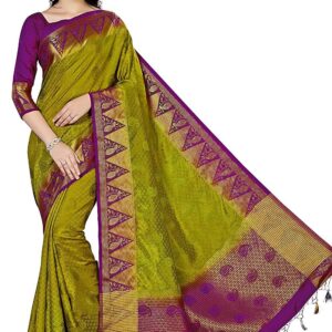 Tussar Silk with Drapes